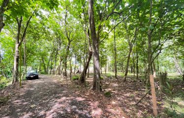 BUILDING PROPERTY A STEPS OF THE BEACH, IN BAHIA BALLENA – 0.37 ACRES