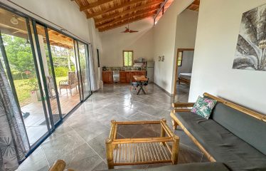 MOUNTAIN PROPERTY WITH A GUEST HOUSE WITH BEAUTIFUL VIEWS OF THE NATURE, IN BARU – 3.53 ACRES