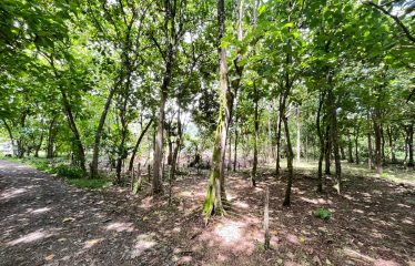 BUILDING PROPERTY A STEPS OF THE BEACH, IN BAHIA BALLENA – 0.37 ACRES