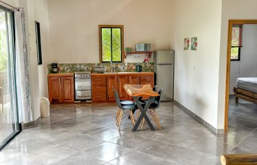 MOUNTAIN PROPERTY WITH A GUEST HOUSE WITH BEAUTIFUL VIEWS OF THE NATURE, IN BARU – 3.53 ACRES