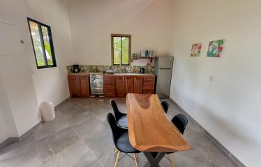 MOUNTAIN PROPERTY WITH A GUEST HOUSE WITH BEAUTIFUL VIEWS OF THE NATURE, IN BARU – 3.53 ACRES