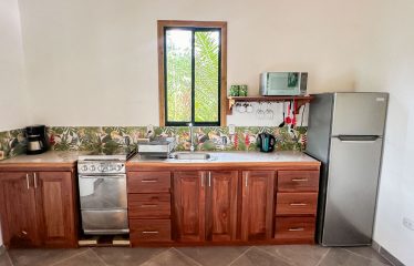 MOUNTAIN PROPERTY WITH A GUEST HOUSE WITH BEAUTIFUL VIEWS OF THE NATURE, IN BARU – 3.53 ACRES