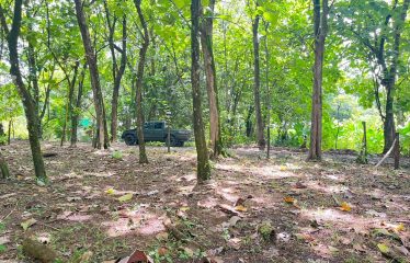 BUILDING PROPERTY A STEPS OF THE BEACH, IN BAHIA BALLENA – 0.37 ACRES