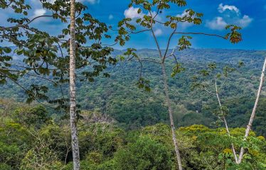 MOUNTAIN PROPERTY WITH A GUEST HOUSE WITH BEAUTIFUL VIEWS OF THE NATURE, IN BARU – 3.53 ACRES