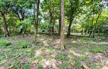 BUILDING PROPERTY A STEPS OF THE BEACH, IN BAHIA BALLENA – 0.37 ACRES