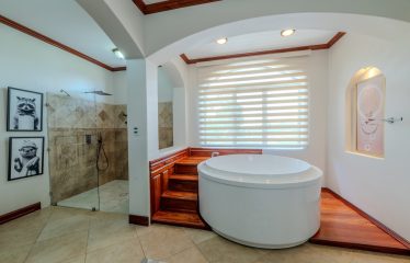 LUXURY PROPERTY WITH SIX BEDROOM, IN PALMARES PEREZ ZELEDON – 0.68 ACRES