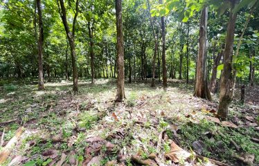 BUILDING PROPERTY A STEPS OF THE BEACH, IN BAHIA BALLENA – 0.37 ACRES