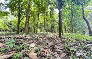 BUILDING PROPERTY A STEPS OF THE BEACH, IN BAHIA BALLENA – 0.37 ACRES