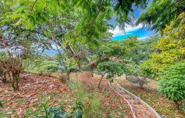MOUNTAIN PROPERTY WITH ONE BEDROOM WITH OCEAN FRONT VIEWS, IN CINCO VENTANAS – 0.64 ACRES