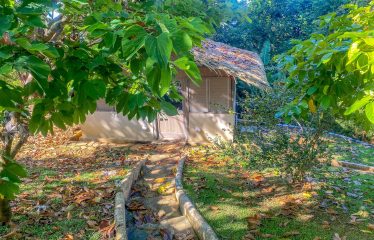 MOUNTAIN PROPERTY WITH ONE BEDROOM WITH OCEAN FRONT VIEWS, IN CINCO VENTANAS – 0.64 ACRES