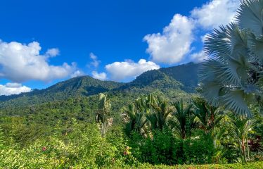 MOUNTAIN PROPERTY WITH ONE BEDROOM WITH OCEAN FRONT VIEWS, IN CINCO VENTANAS – 0.64 ACRES