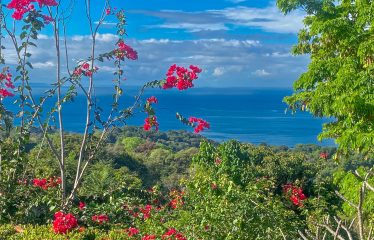 MOUNTAIN PROPERTY WITH ONE BEDROOM WITH OCEAN FRONT VIEWS, IN CINCO VENTANAS – 0.64 ACRES