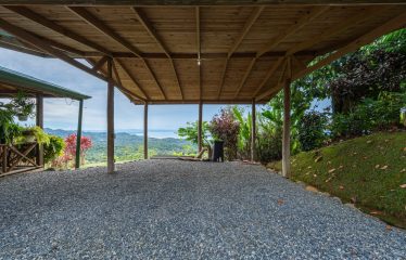 OCEAN VIEW HOME WITH TREE HOUSE VIBES