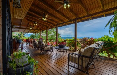 OCEAN VIEW HOME WITH TREE HOUSE VIBES