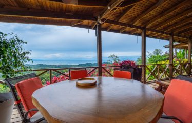 OCEAN VIEW HOME WITH TREE HOUSE VIBES