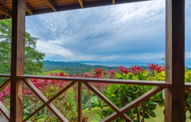 OCEAN VIEW HOME WITH TREE HOUSE VIBES