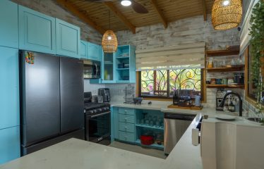 OCEAN VIEW HOME WITH TREE HOUSE VIBES