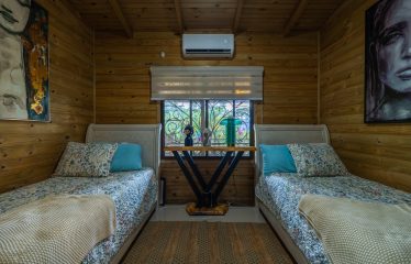 OCEAN VIEW HOME WITH TREE HOUSE VIBES