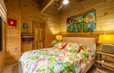 OCEAN VIEW HOME WITH TREE HOUSE VIBES