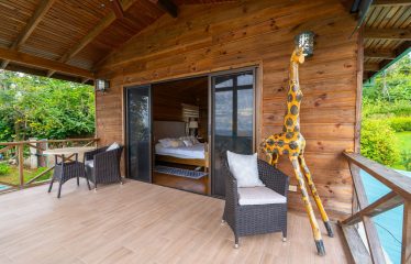 OCEAN VIEW HOME WITH TREE HOUSE VIBES