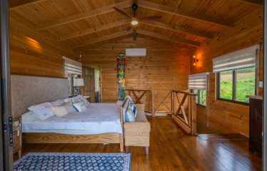 OCEAN VIEW HOME WITH TREE HOUSE VIBES