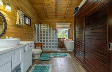 OCEAN VIEW HOME WITH TREE HOUSE VIBES