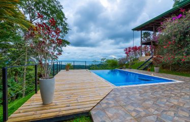 OCEAN VIEW HOME WITH TREE HOUSE VIBES