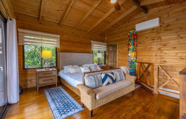 OCEAN VIEW HOME WITH TREE HOUSE VIBES