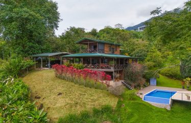 OCEAN VIEW HOME WITH TREE HOUSE VIBES