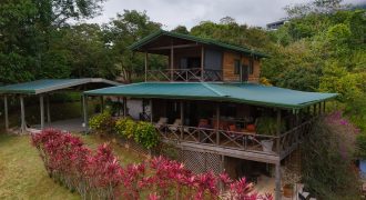OCEAN VIEW HOME WITH TREE HOUSE VIBES
