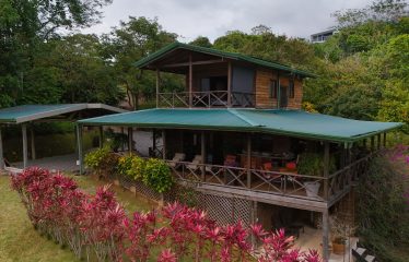 OCEAN VIEW HOME WITH TREE HOUSE VIBES