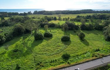 DEVELOPMENT PROPERTY WITH PUBLIC ROAD IN FRONT, IN HATILLO – 23 ACRES