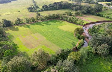 DEVELOPMENT PROPERTY WITH PUBLIC ROAD IN FRONT, IN HATILLO – 23 ACRES