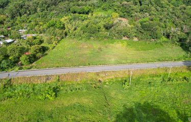 DEVELOPMENT PROPERTY WITH PUBLIC ROAD IN FRONT, IN HATILLO – 23 ACRES