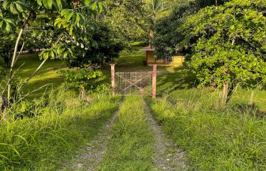 DEVELOPMENT PROPERTY WITH PUBLIC ROAD IN FRONT, IN HATILLO – 23 ACRES