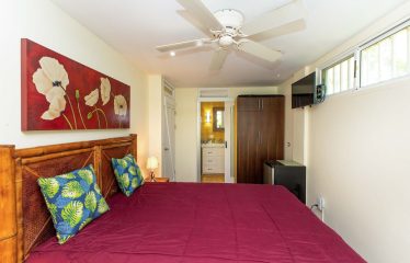 CASA AMABLE PROPERTY WITH THREE BEDROOM, IN MANUEL ANTONIO – 0.27 ACRES