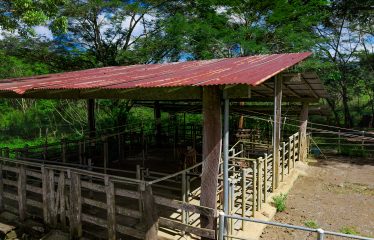 RANCHO LEGACY OCEANFRONT: 4,850 ACRES IN ESTERILLOS