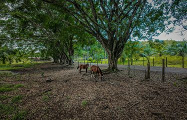 RANCHO LEGACY OCEANFRONT: 4,850 ACRES IN ESTERILLOS