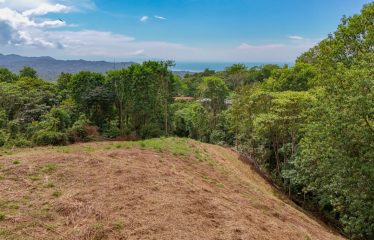 BUILDING PROPERTY WITH PARTIAL OCEAN VIEWS, IN OJOCHAL – 3.12 ACRES
