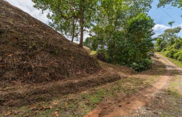 BUILDING PROPERTY WITH PARTIAL OCEAN VIEWS, IN OJOCHAL – 3.12 ACRES