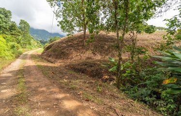 BUILDING PROPERTY WITH PARTIAL OCEAN VIEWS, IN OJOCHAL – 3.12 ACRES