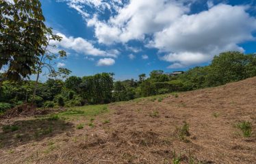 BUILDING PROPERTY WITH PARTIAL OCEAN VIEWS, IN OJOCHAL – 3.12 ACRES