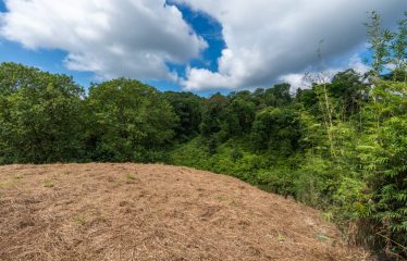 BUILDING PROPERTY WITH PARTIAL OCEAN VIEWS, IN OJOCHAL – 3.12 ACRES