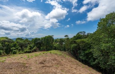 BUILDING PROPERTY WITH PARTIAL OCEAN VIEWS, IN OJOCHAL – 3.12 ACRES