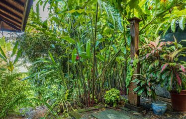 PROPERTY WITH TWO BEDROOMS IN THE MOUNTAIN, IN HATILLO – 1.37 ACRES