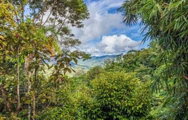 PROPERTY WITH TWO BEDROOMS IN THE MOUNTAIN, IN HATILLO – 1.37 ACRES