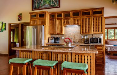 JUNGLE PROPERTY WITH FIVE BEDROOM AND OCEAN VIEWS, IN ESCALERAS – 0.84 ACRES