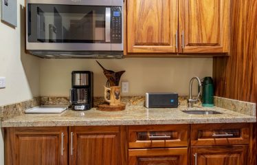 JUNGLE PROPERTY WITH FIVE BEDROOM AND OCEAN VIEWS, IN ESCALERAS – 0.84 ACRES