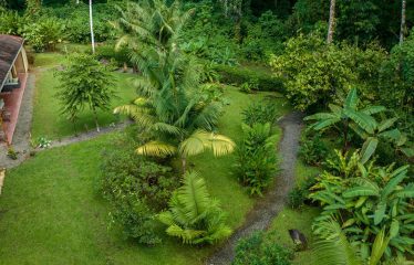 JUNGLE PROPERTY WITH FIVE BEDROOM AND OCEAN VIEWS, IN ESCALERAS – 0.84 ACRES