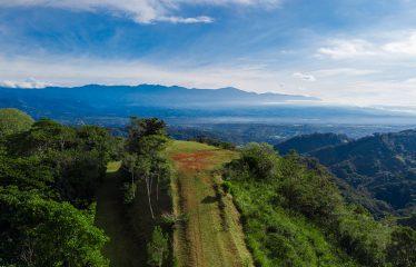 DEVELOPMENT PROPERTY WITH MOUNTAINS VIEWS AND NEAR TO THE CASCADE, IN LA PALMA – 12 ACRES
